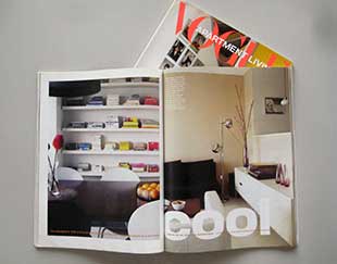 Vogue Apartment Living no.2 2001