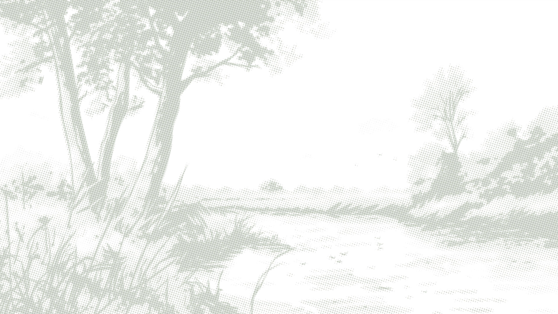 ontwerp privacy folie